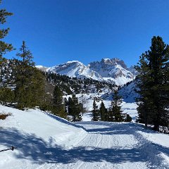 20 feb.2025 Rifugio Sennes